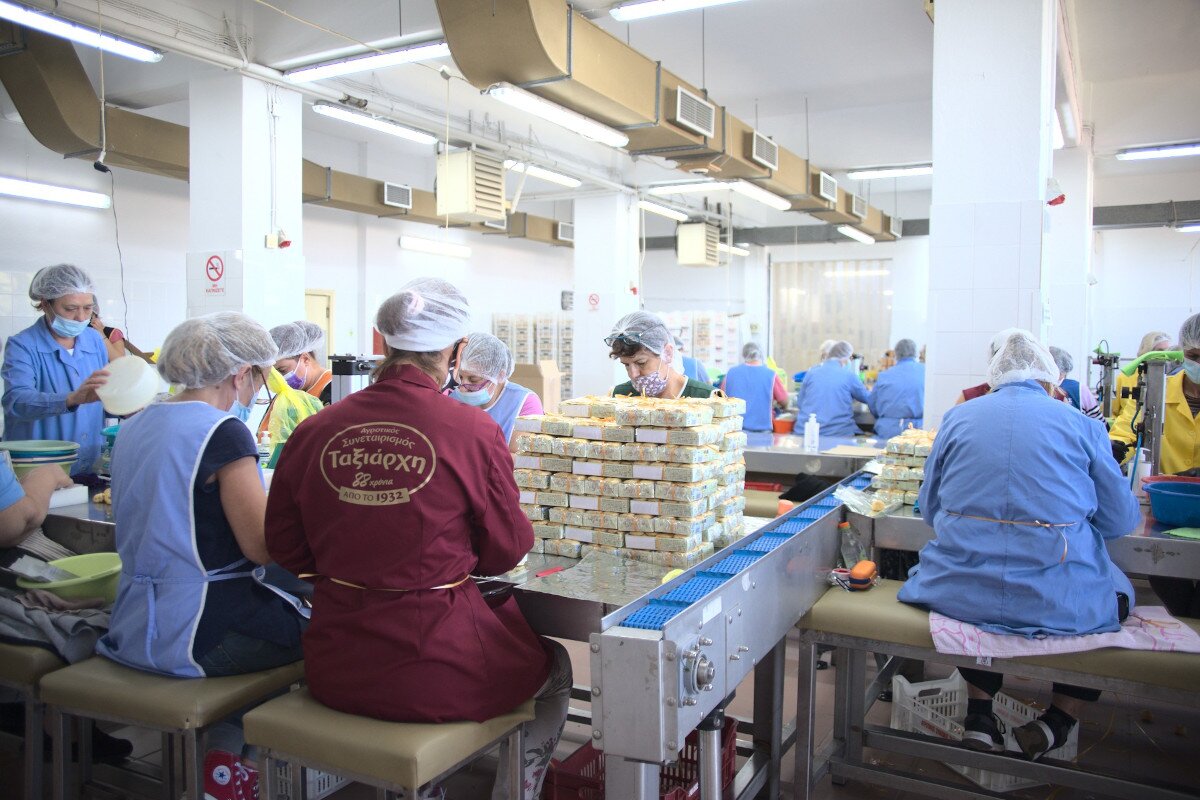 Workers during Figs packaging process in Evia